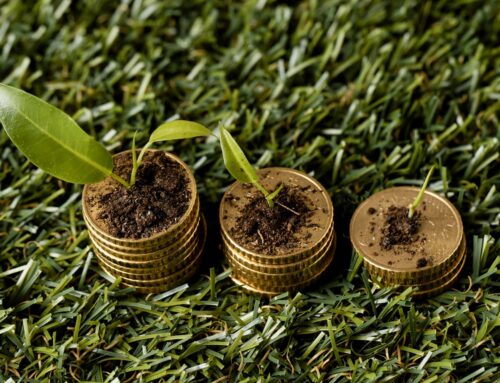 Sustainability on a Budget